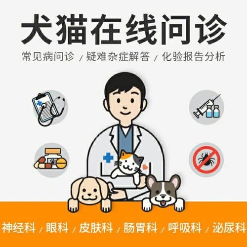 兽医在线qq咨询(该去医院还是在线咨询兽医)