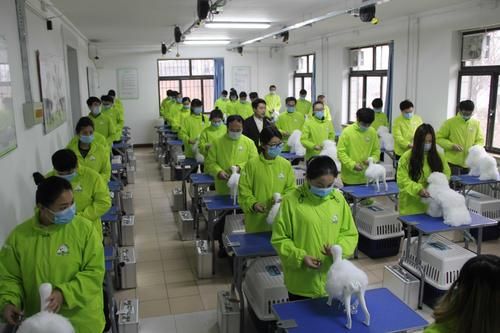 内蒙古宠物美容师培训学校(学完后好找工作吗)