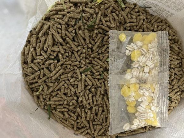 再生宠物(再生宠物真的能复制爱吗)