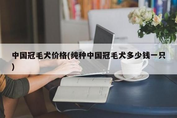 冠毛犬多少钱(哪些因素会影响价格)