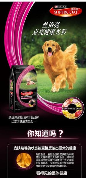 冠能狗粮(它家到底哪款适合你的毛孩子)