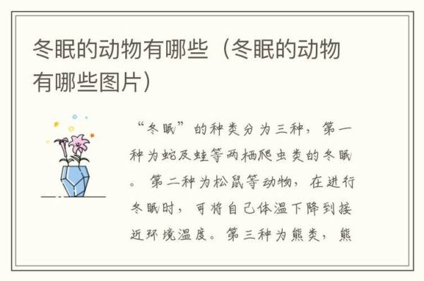 冬眠动物(它们睡觉和冬眠有什么区别)