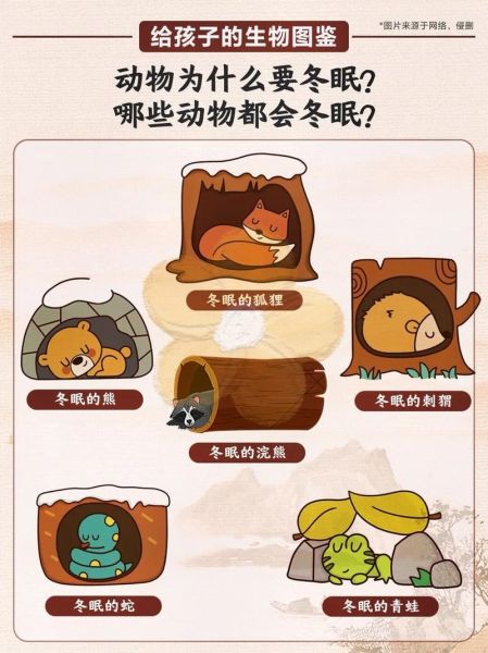 冬眠的动物有哪些(冬天哪些动物会睡一觉呢)