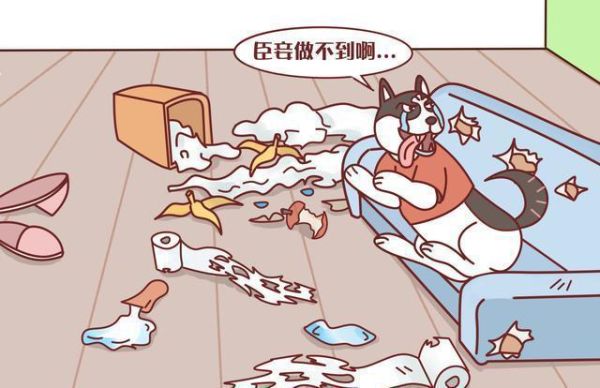 凯安梗( 它跟二哈一样爱拆家吗)