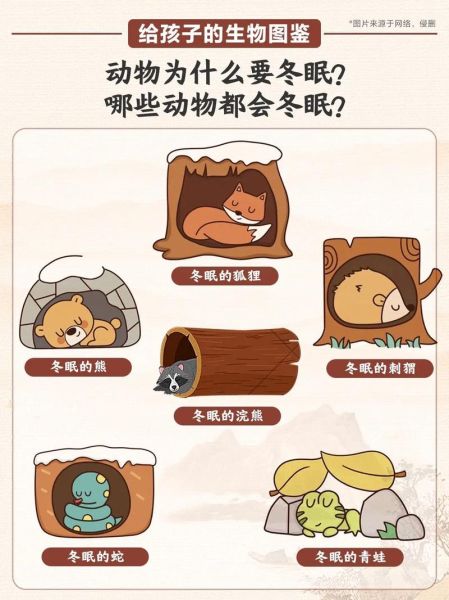 动物为什么要冬眠( 难道是为了省着点能量过冬)