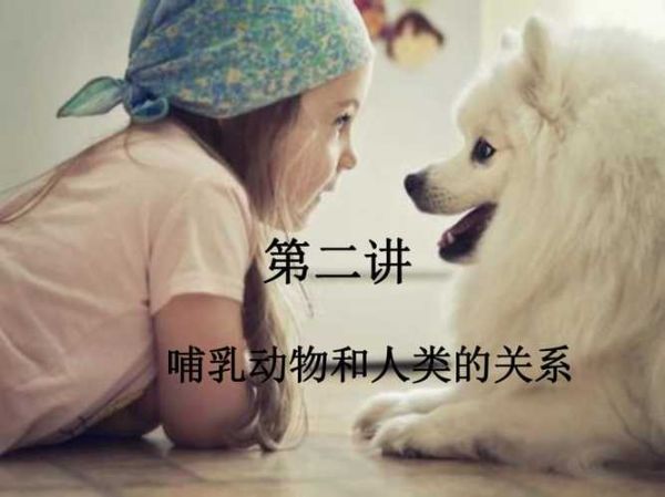 动物亲情故事(动物的亲情和人类有什么不同)
