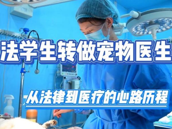 动物医生(动物医生是做什么的)