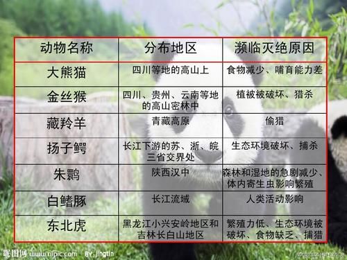 动物名称大全( 你知道哪些动物在中国生活)
