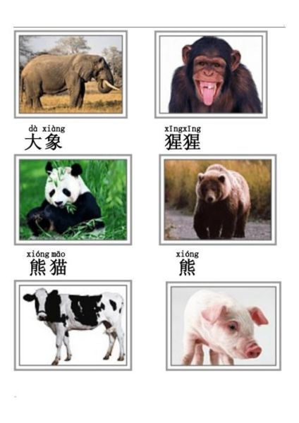 动物图片大全集 100种(你最想了解哪一种动物)