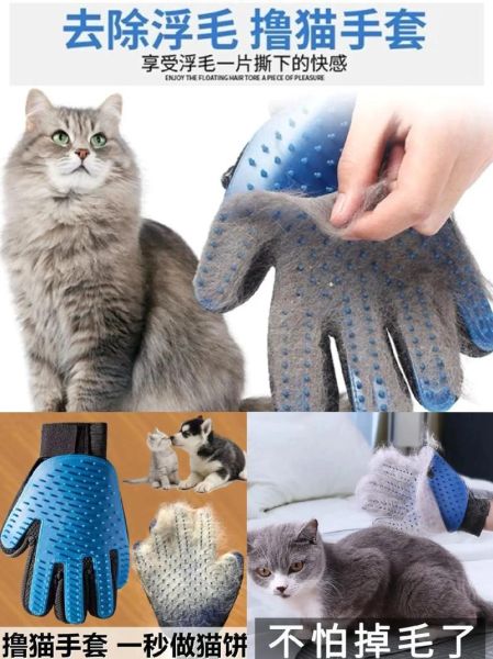 动物用品(哪种梳子最适合我家毛孩子)