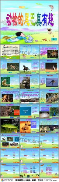 动物的尾巴有什么作用(它们可以用尾巴做哪些意想不到的事情呢)