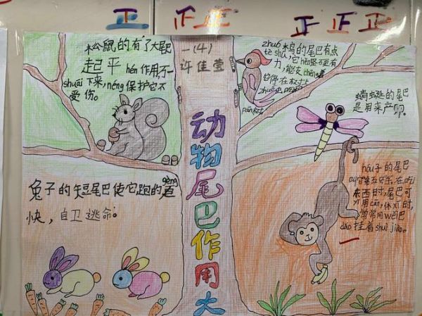 动物的尾巴有什么作用(它们可以用尾巴做哪些意想不到的事情呢)