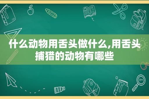 动物的舌头有什么作用(它们是怎么用舌头捕猎的)