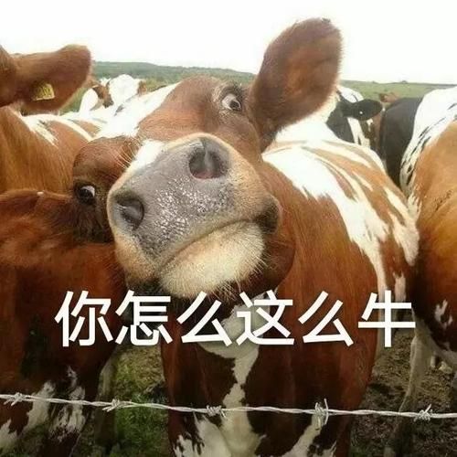 动物的骗术(谁才是骗术之王)
