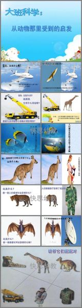 动物精神(能给我们什么启示)