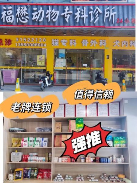 动物诊所(哪家动物诊所靠谱)