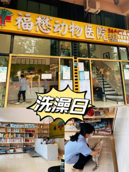 动物诊所(哪家动物诊所靠谱)