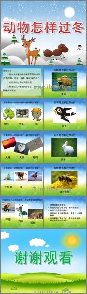 动物过冬(你了解它们吗)