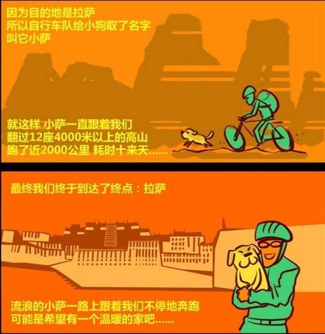励志狗小萨(你为何突然消失)
