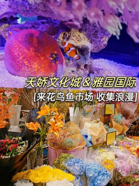 北京 宠物市场(十里河市场值得逛吗)