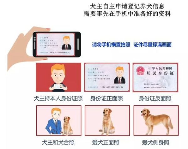 北京 狗(如何办理登记手续)