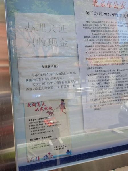 北京 狗(如何办理登记手续)