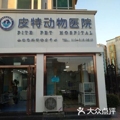北京宠物医院排名(哪家医院最适合我家毛孩子)
