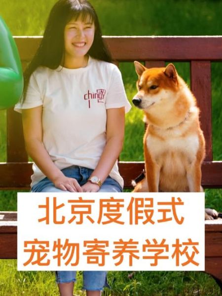 北京宠物寄养中心(北京的宠物寄养中心靠谱吗)