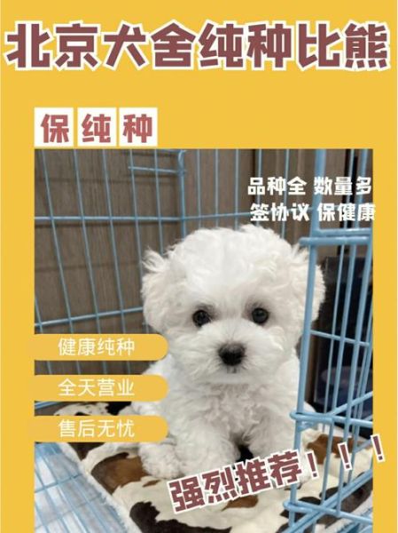 北京宠物寄养中心(北京的宠物寄养中心靠谱吗)