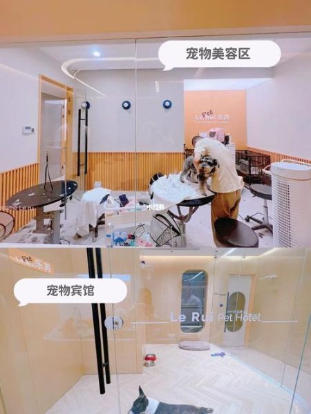 北京宠物店(北京宠物店怎么选)