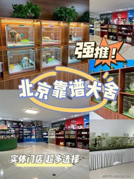 北京宠物狗市场(哪家宠物店最靠谱)