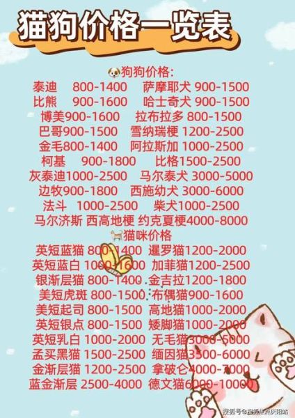 北京宠物网站(北京宠物网站怎么选)