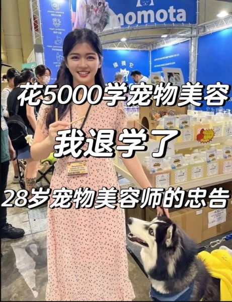 北京宠物美容(哪家学校性价比高)