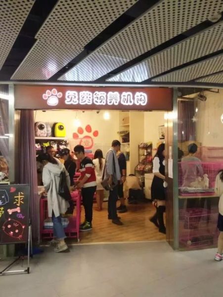 北京宠物领养中心(北京有哪些机构可以提供免费领养)
