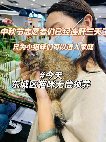 北京宠物领养中心(北京有哪些机构可以提供免费领养)