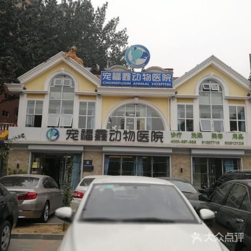 北京最好的宠物医院(哪家医院性价比最高)