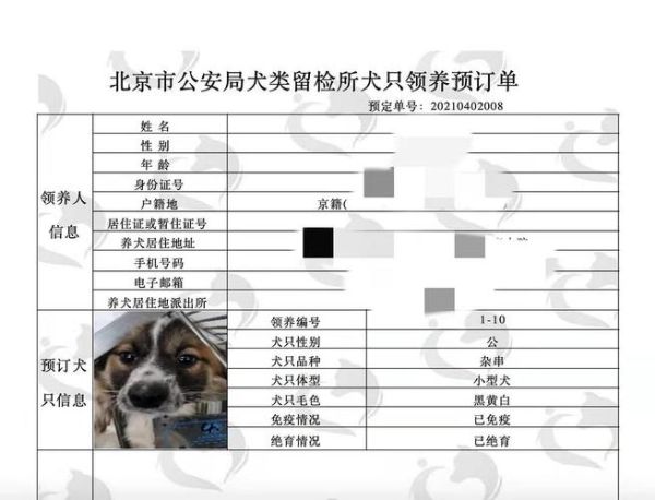 北京犬类留检所(领养流程是怎么样的)