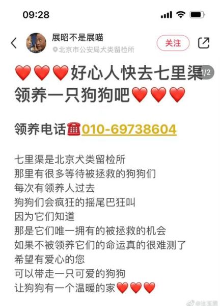 北京犬类留检所(领养流程是怎么样的)