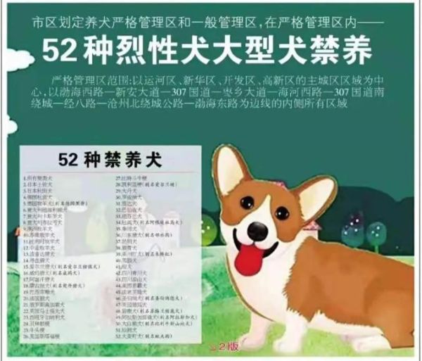 北京禁狗令(哪些犬种还能养)