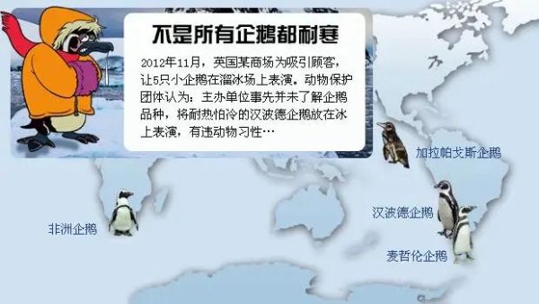 北极熊为什么不吃企鹅(它们不是住在地球的两极吗)