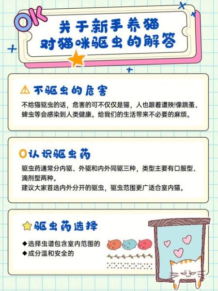 千万不要当着猫的面铲屎(它到底在想什么)