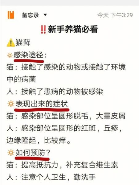 千万不要给孩子养猫( 养猫有哪些风险)