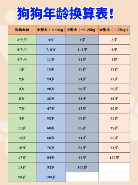 卖狗(狗狗的未来谁来负责)