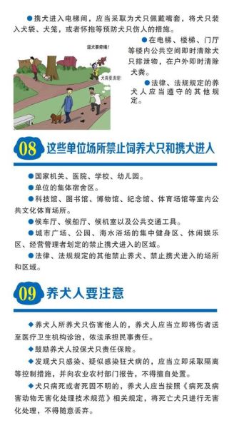厦门养狗(如何才能文明养狗)
