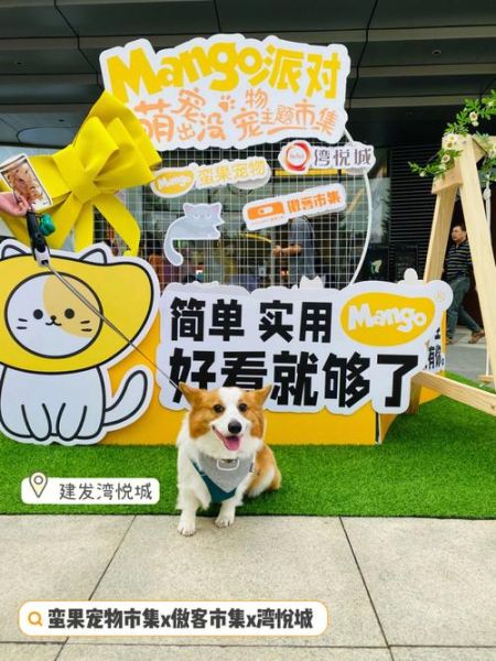 厦门卖狗(哪家店信誉好)