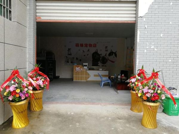 厦门宠物店(哪家店种类最齐全)