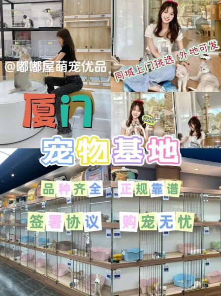 厦门宠物网(都在哪里能找到)