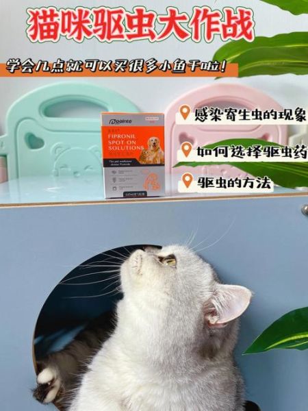 去宠物医院驱虫多少钱( 去宠物医院驱虫贵吗)