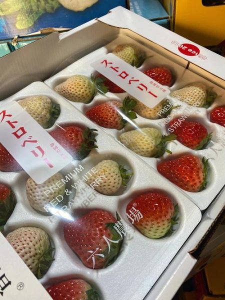 双色草莓(它到底有多假)