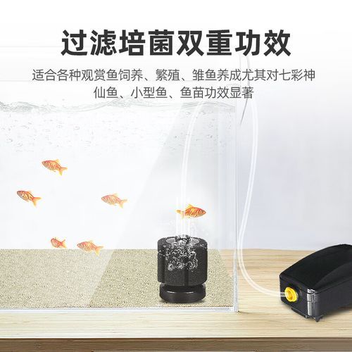 反气举( 新手能轻松搞定吗)